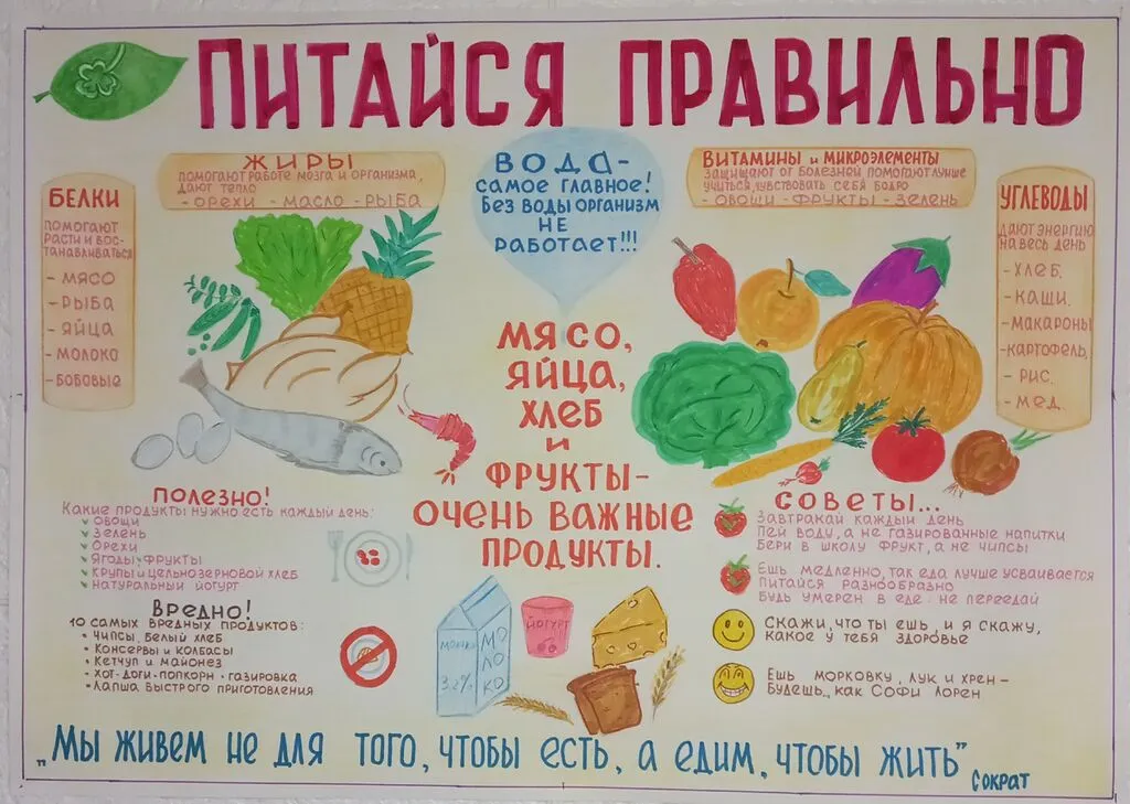здоровое питание